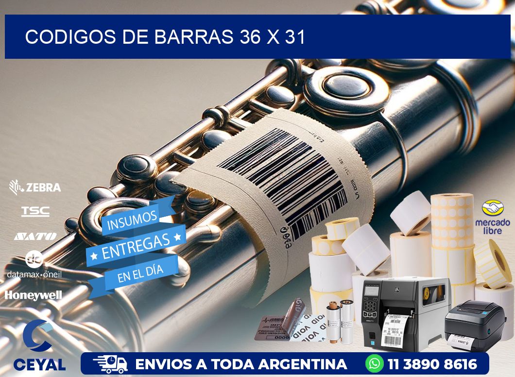 codigos de barras 36 x 31