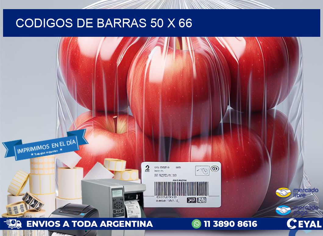 codigos de barras 50 x 66