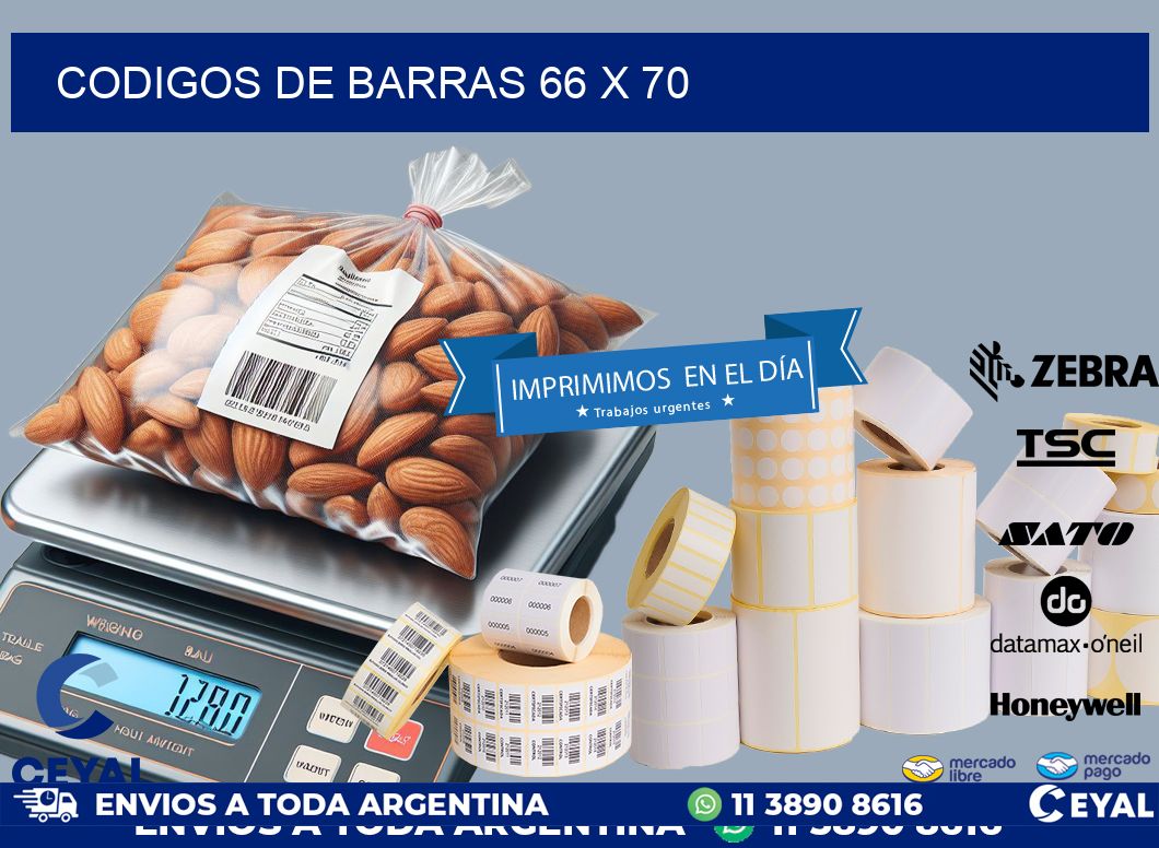 codigos de barras 66 x 70