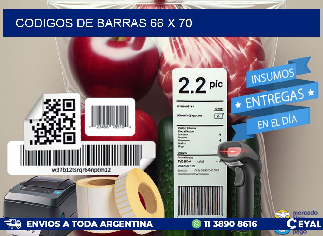 codigos de barras 66 x 70