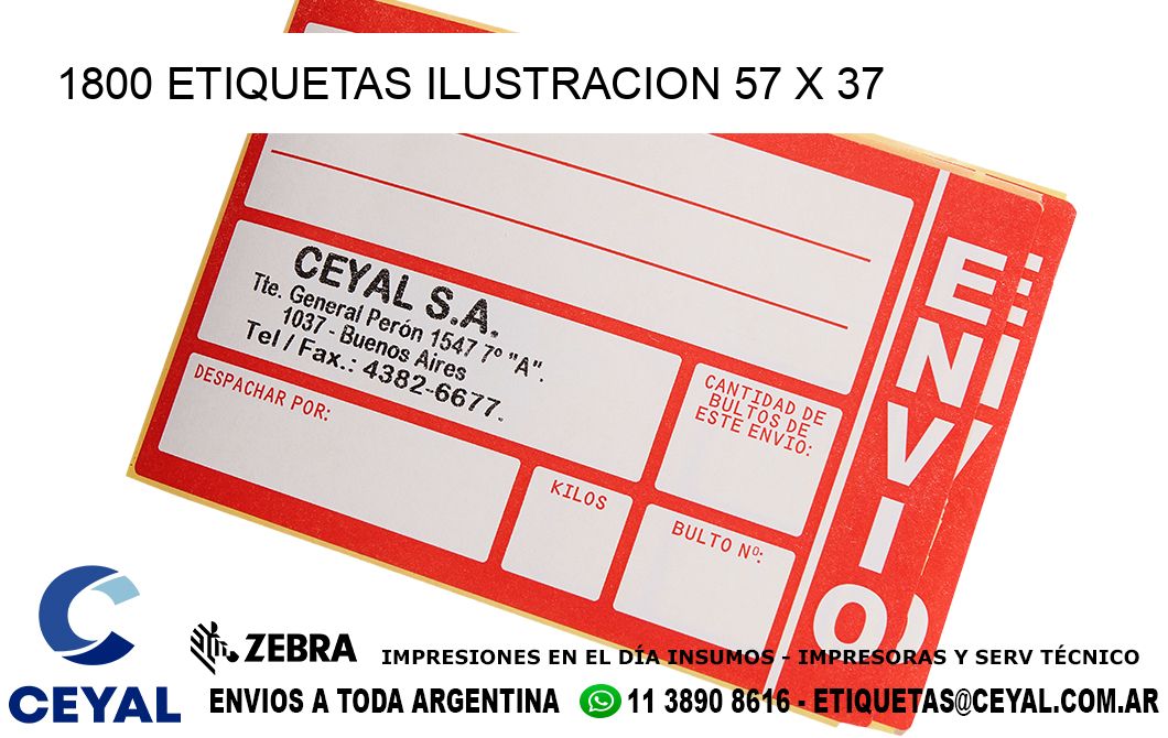 1800 ETIQUETAS ILUSTRACION 57 x 37