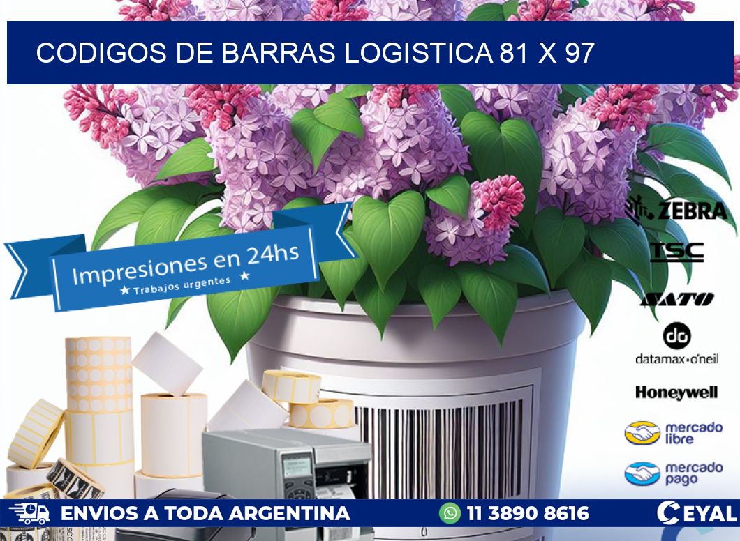 CODIGOS DE BARRAS LOGISTICA 81 x 97
