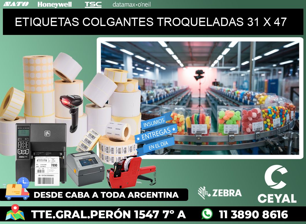 ETIQUETAS COLGANTES TROQUELADAS 31 x 47