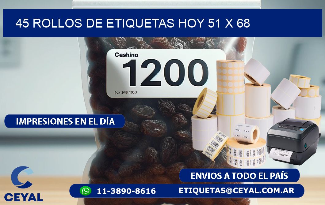 45 ROLLOS DE ETIQUETAS HOY 51 x 68