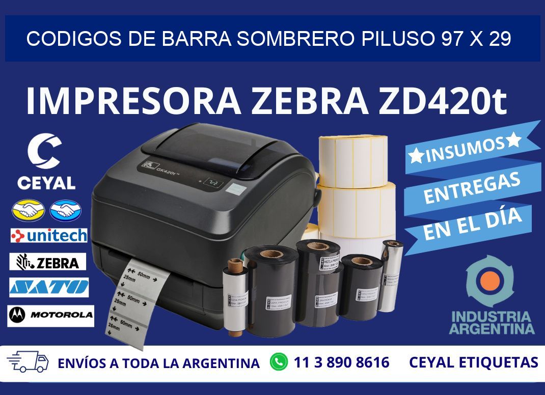 CODIGOS DE BARRA SOMBRERO PILUSO 97 x 29