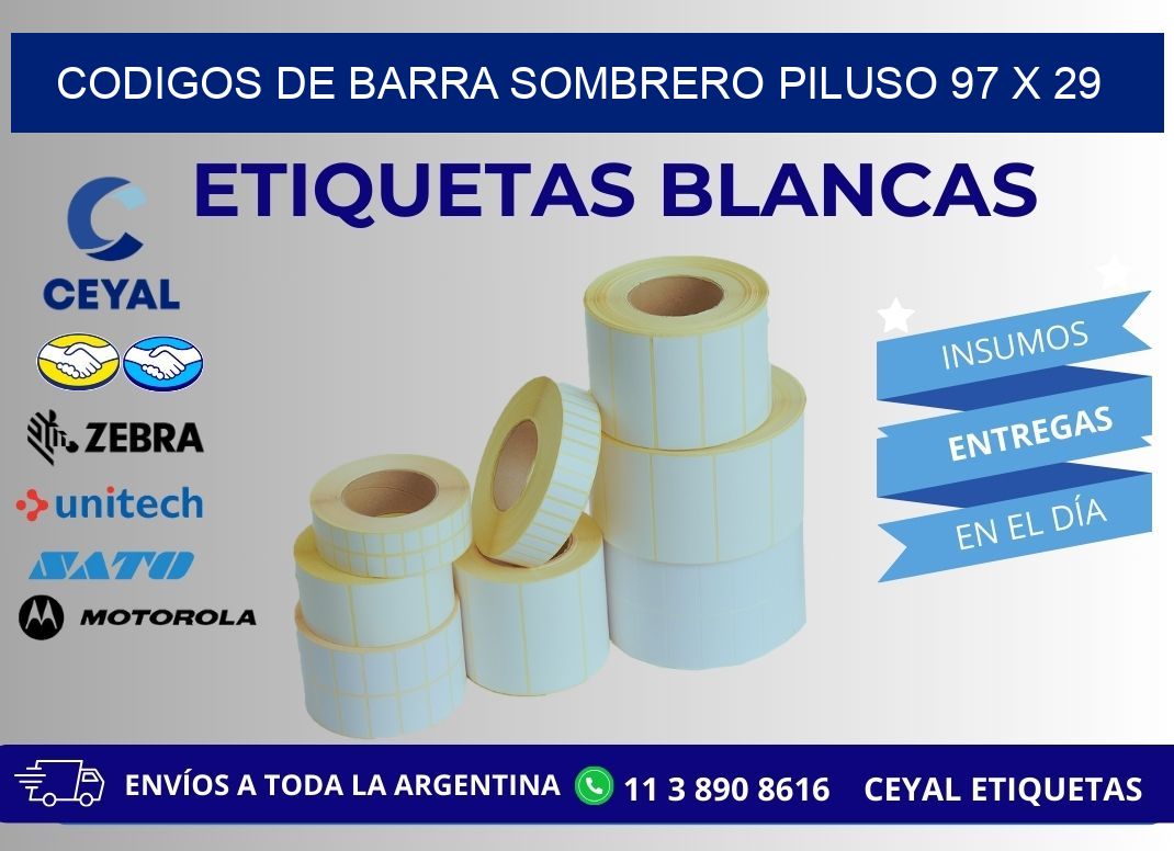 CODIGOS DE BARRA SOMBRERO PILUSO 97 x 29