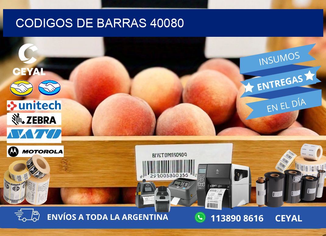 CODIGOS DE BARRAS 40080