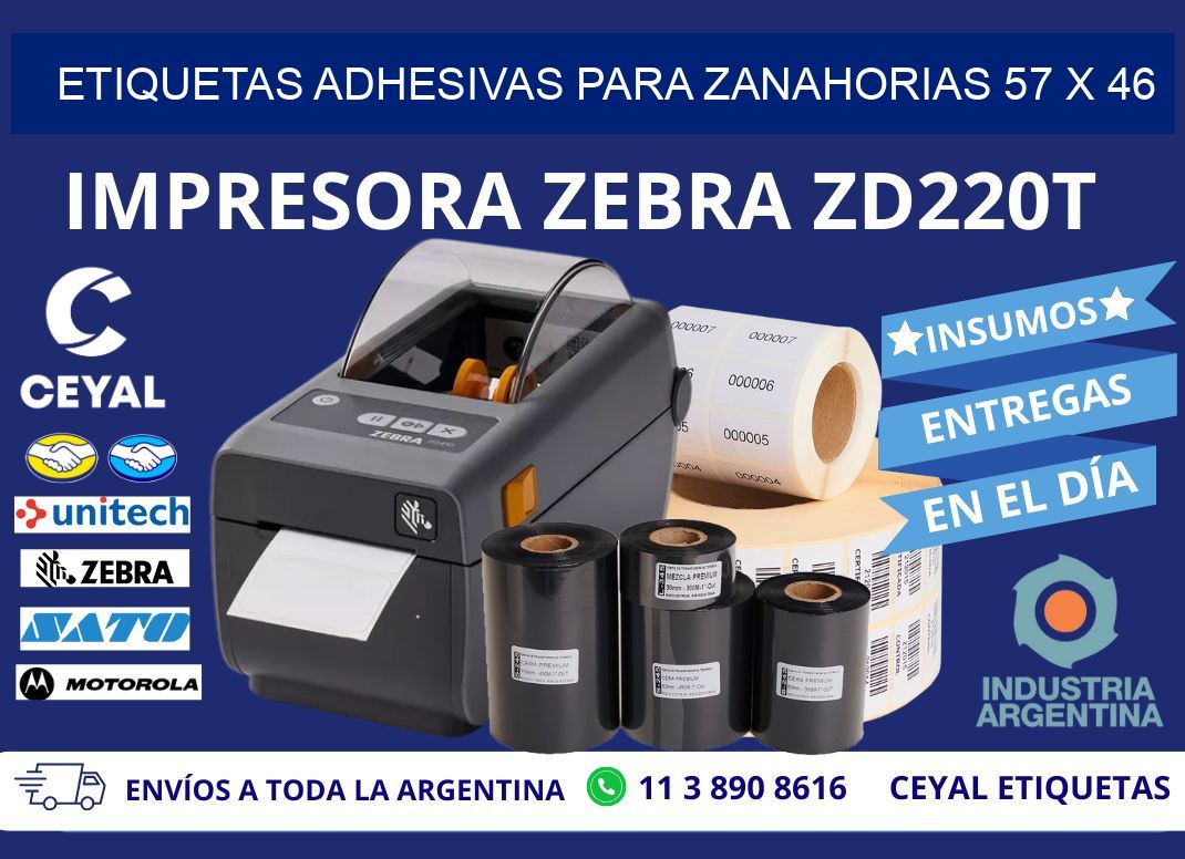 ETIQUETAS ADHESIVAS PARA ZANAHORIAS 57 x 46