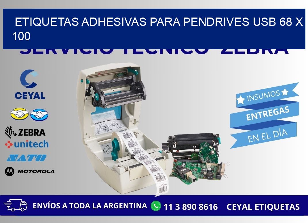 ETIQUETAS ADHESIVAS PARA PENDRIVES USB 68 x 100