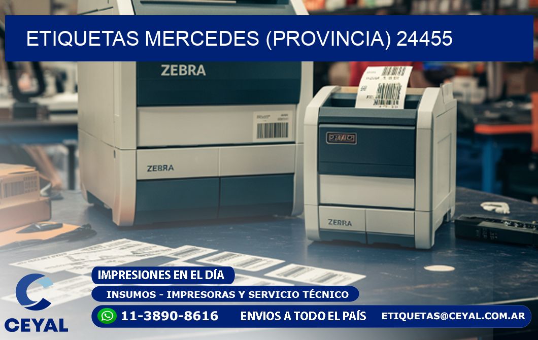 ETIQUETAS MERCEDES (PROVINCIA) 24455