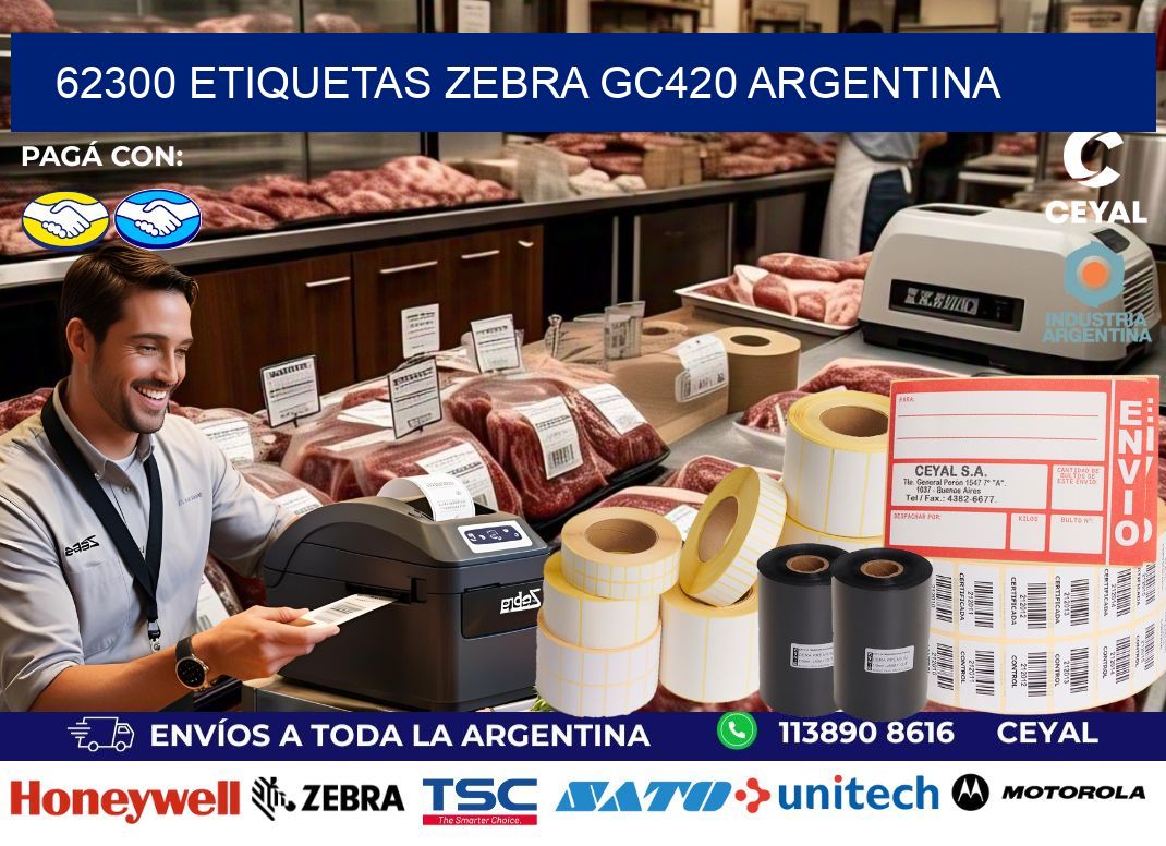 62300 etiquetas zebra gc420 argentina