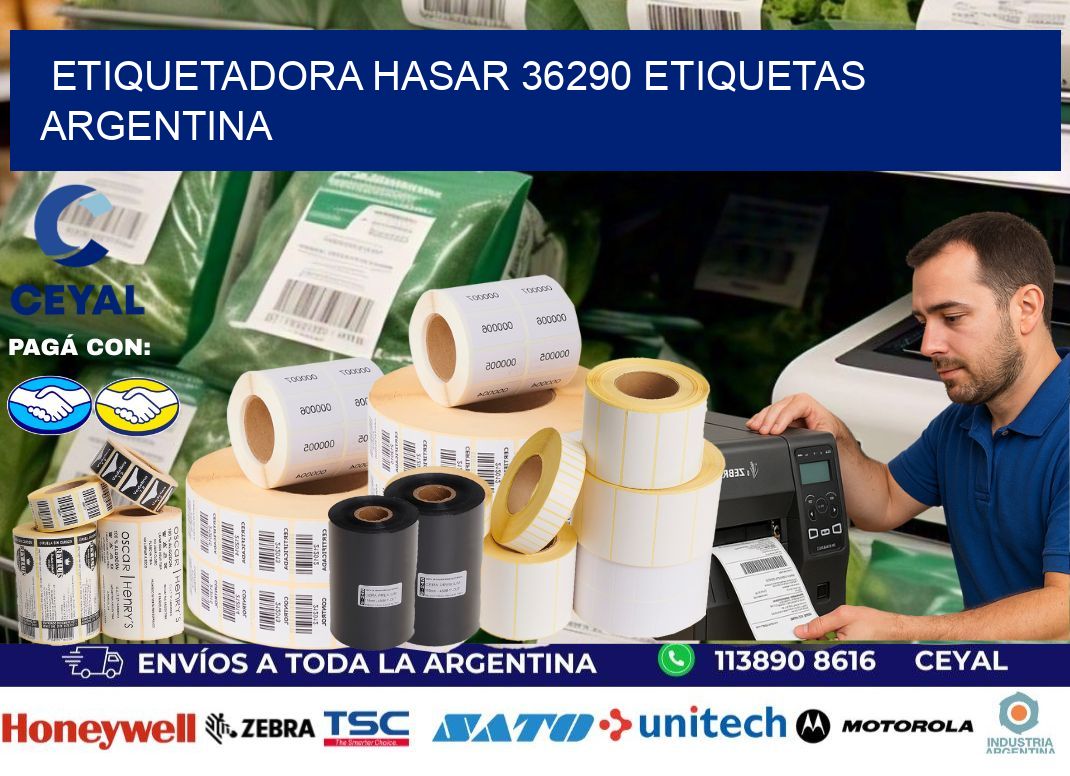 etiquetadora hasar 36290 etiquetas argentina