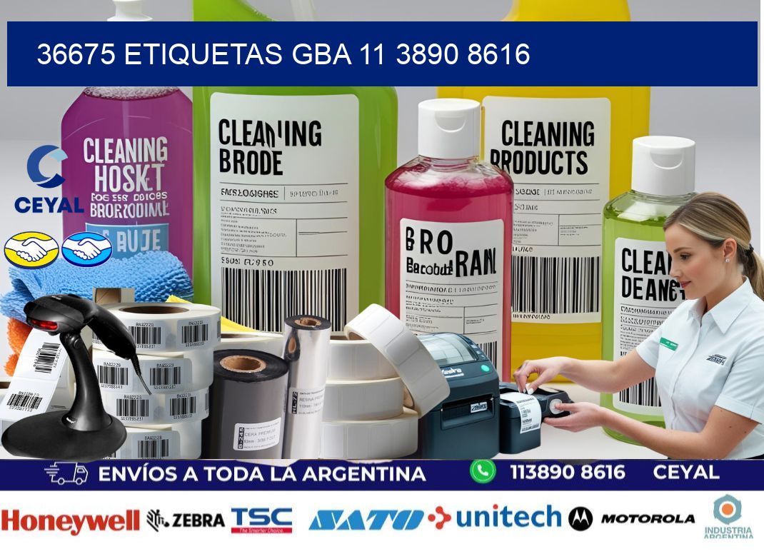 36675 ETIQUETAS GBA 11 3890 8616