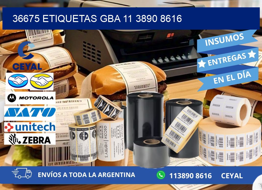 36675 ETIQUETAS GBA 11 3890 8616
