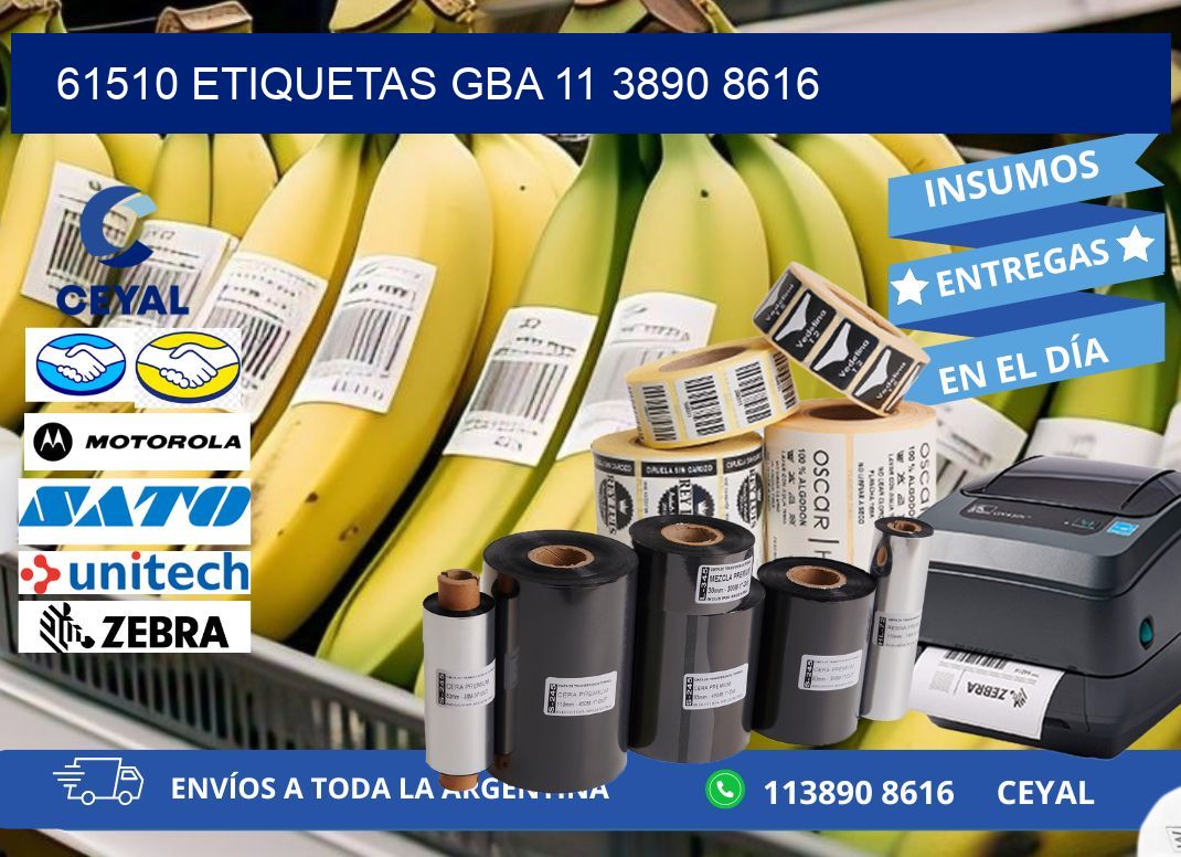 61510 ETIQUETAS GBA 11 3890 8616
