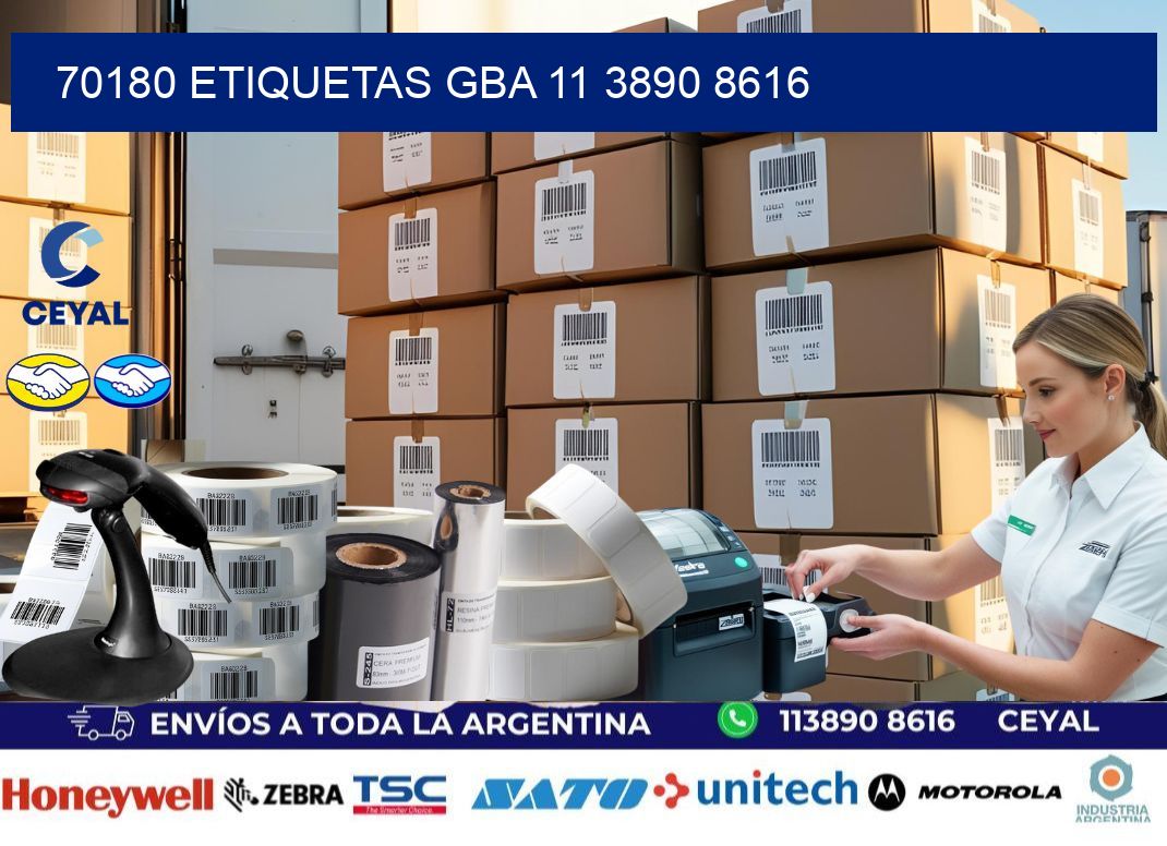 70180 ETIQUETAS GBA 11 3890 8616