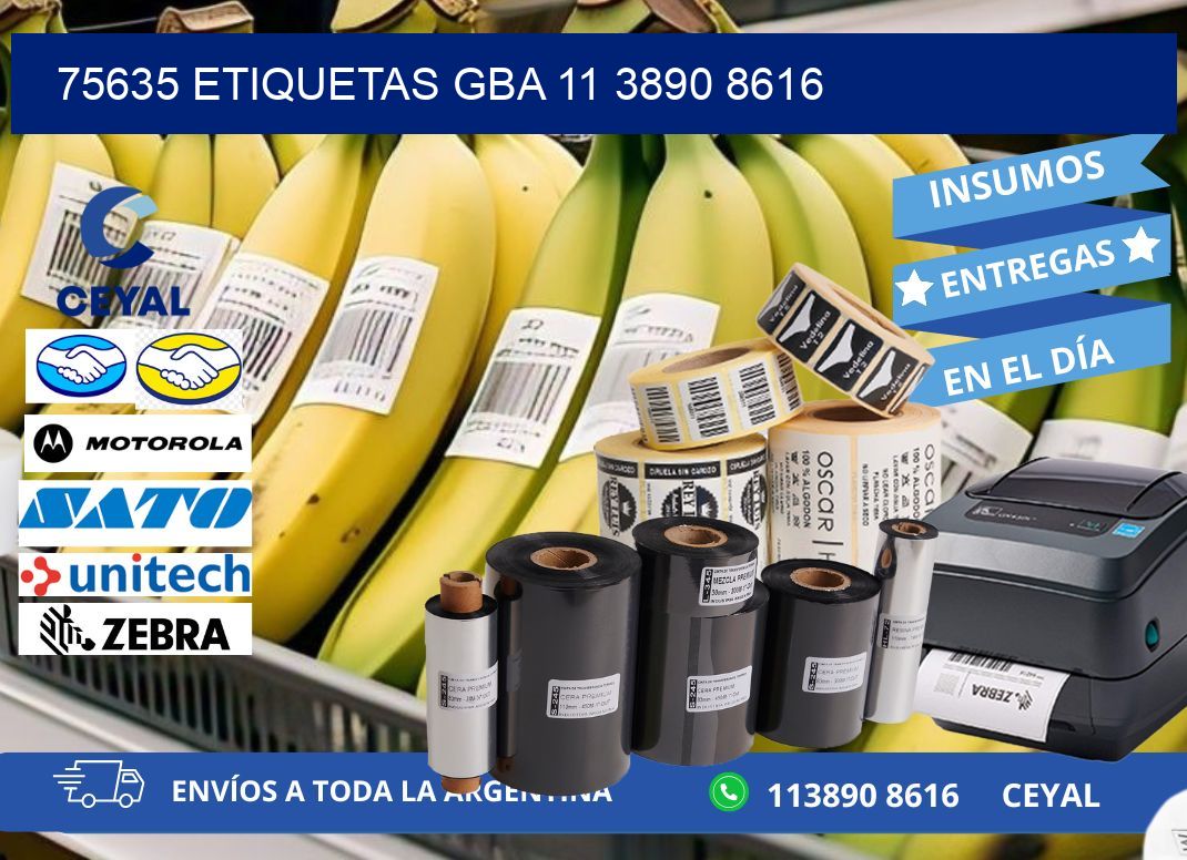 75635 ETIQUETAS GBA 11 3890 8616