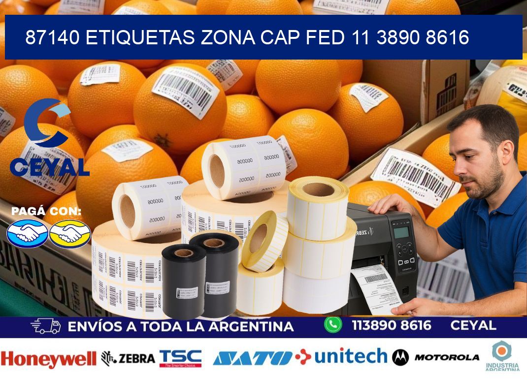87140 ETIQUETAS ZONA CAP FED 11 3890 8616