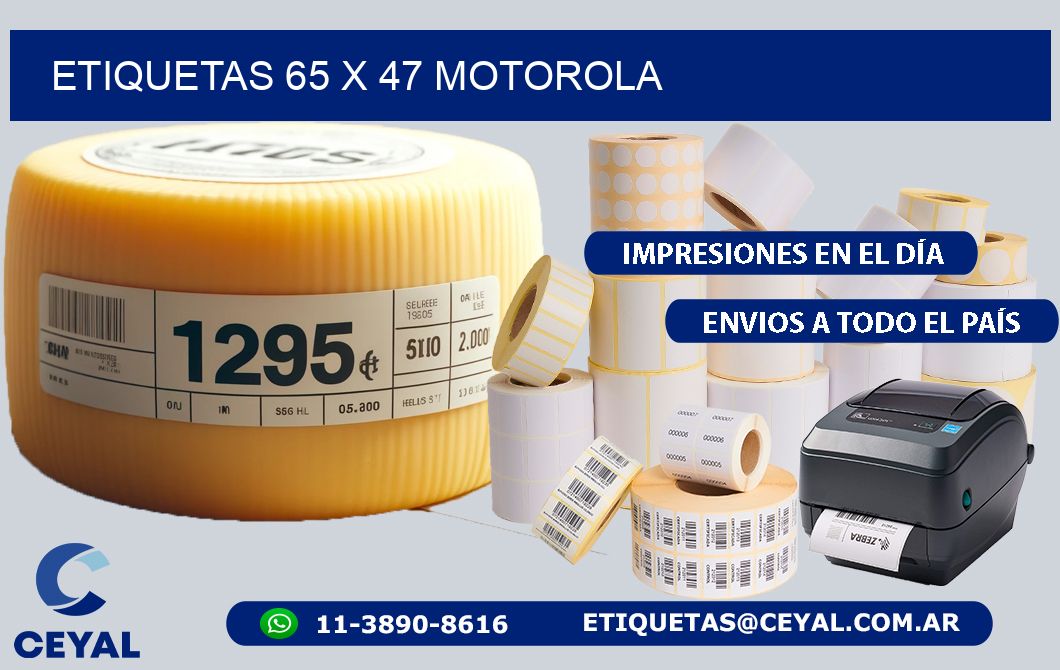 ETIQUETAS 65 x 47 MOTOROLA