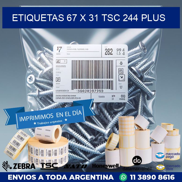 ETIQUETAS 67 x 31 TSC 244 PLUS