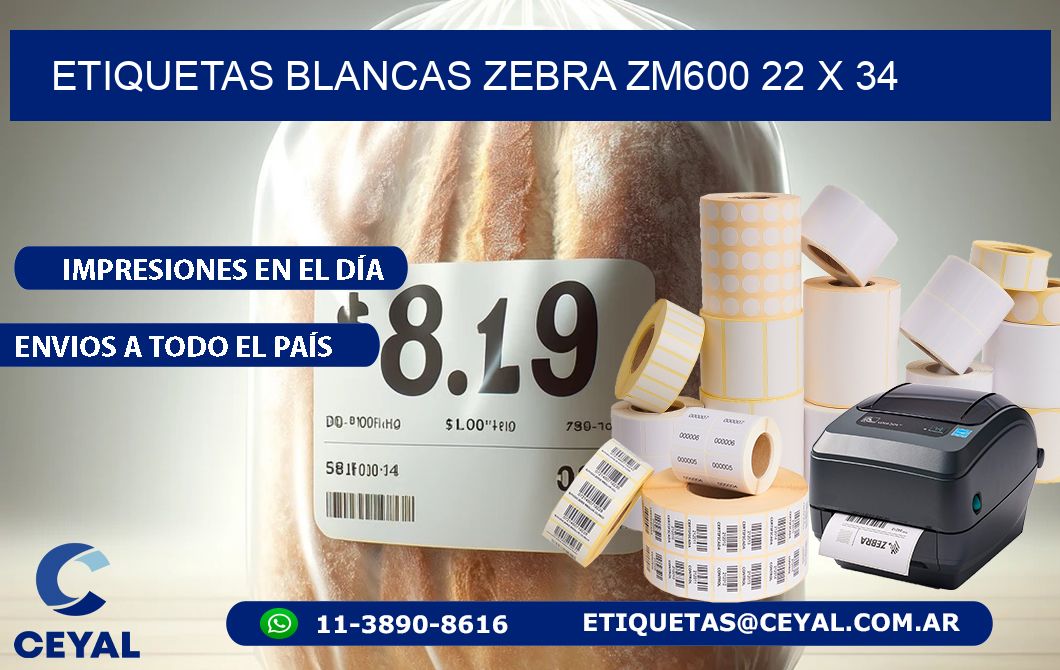 ETIQUETAS BLANCAS ZEBRA ZM600 22 x 34