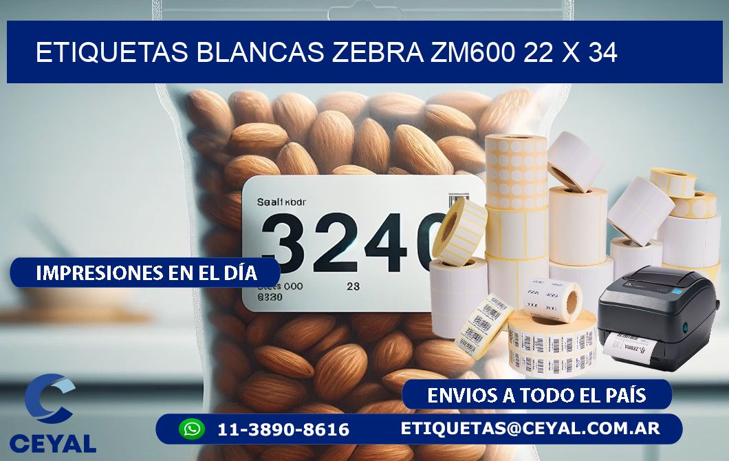 ETIQUETAS BLANCAS ZEBRA ZM600 22 x 34