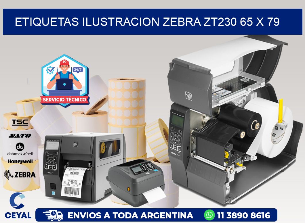 ETIQUETAS ILUSTRACION ZEBRA ZT230 65 x 79