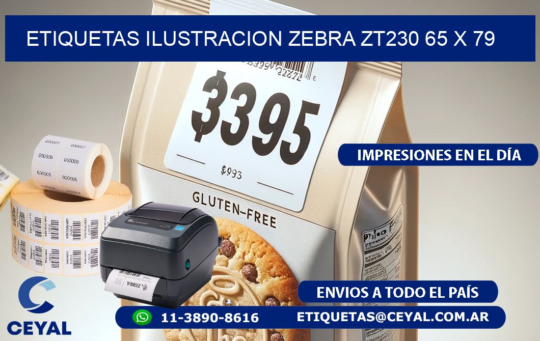 ETIQUETAS ILUSTRACION ZEBRA ZT230 65 x 79