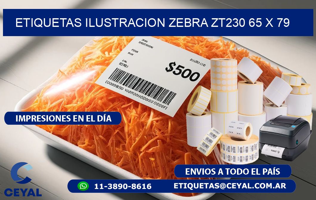 ETIQUETAS ILUSTRACION ZEBRA ZT230 65 x 79