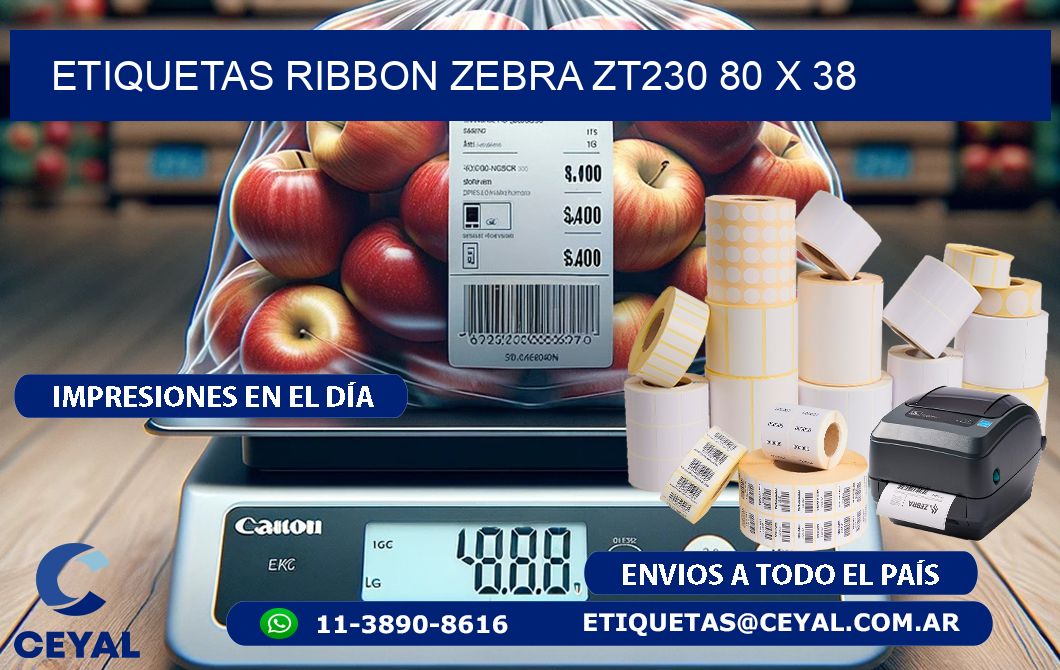 ETIQUETAS RIBBON Zebra ZT230 80 x 38