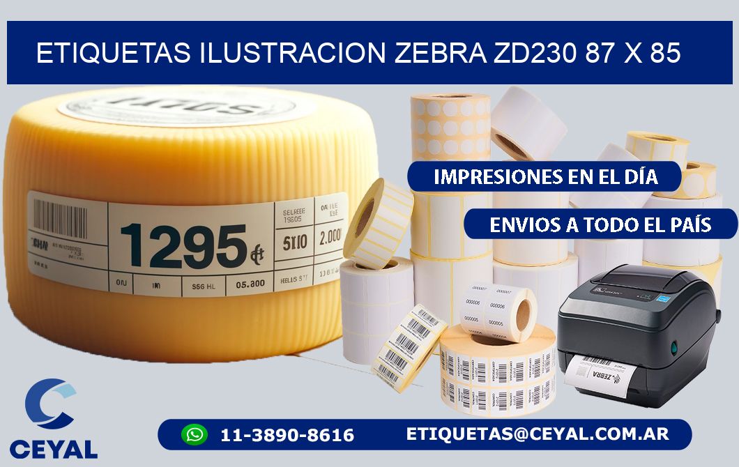 ETIQUETAS ILUSTRACION ZEBRA ZD230 87 x 85