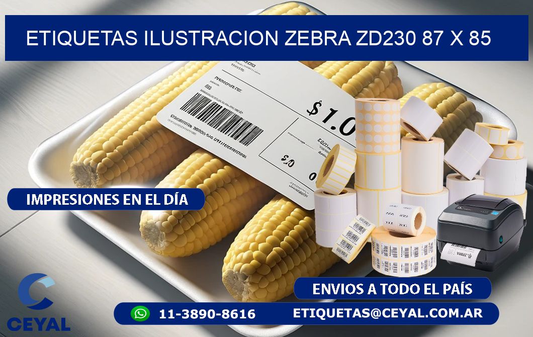 ETIQUETAS ILUSTRACION ZEBRA ZD230 87 x 85