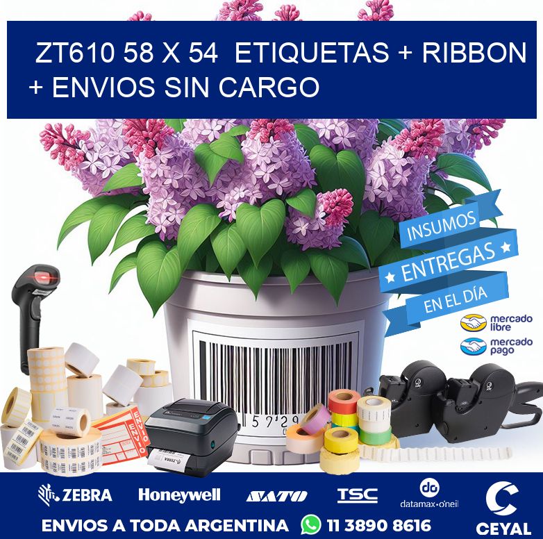 ZT610 58 x 54  etiquetas + ribbon + envios sin cargo