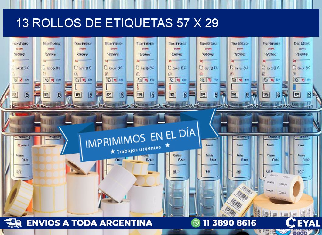 13 ROLLOS DE ETIQUETAS 57 x 29
