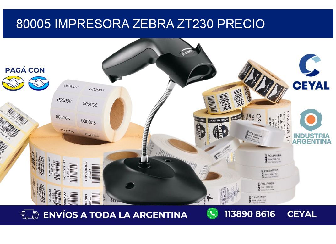 80005 Impresora Zebra ZT230 precio