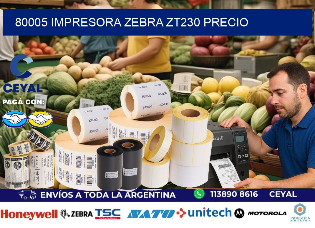80005 Impresora Zebra ZT230 precio