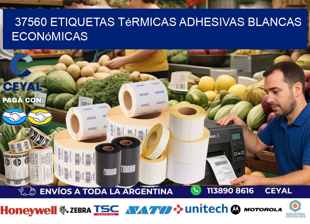 37560 etiquetas térmicas adhesivas blancas económicas
