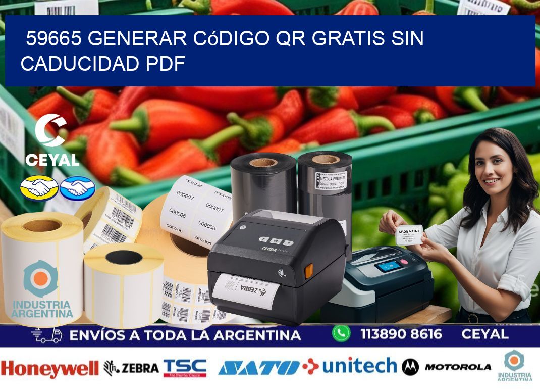 59665 Generar código QR gratis sin caducidad PDF