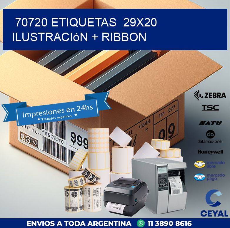 70720 etiquetas  29x20 ilustración + ribbon