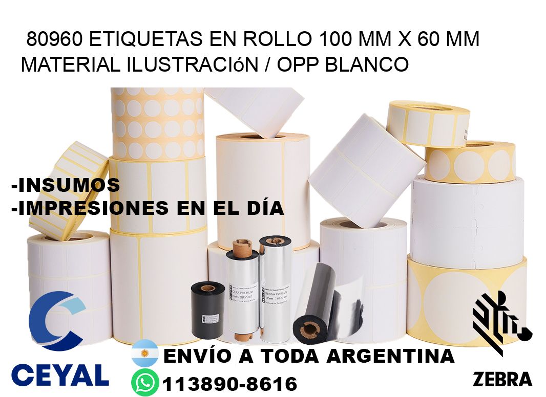 80960 Etiquetas en rollo 100 mm x 60 mm material Ilustración / OPP Blanco