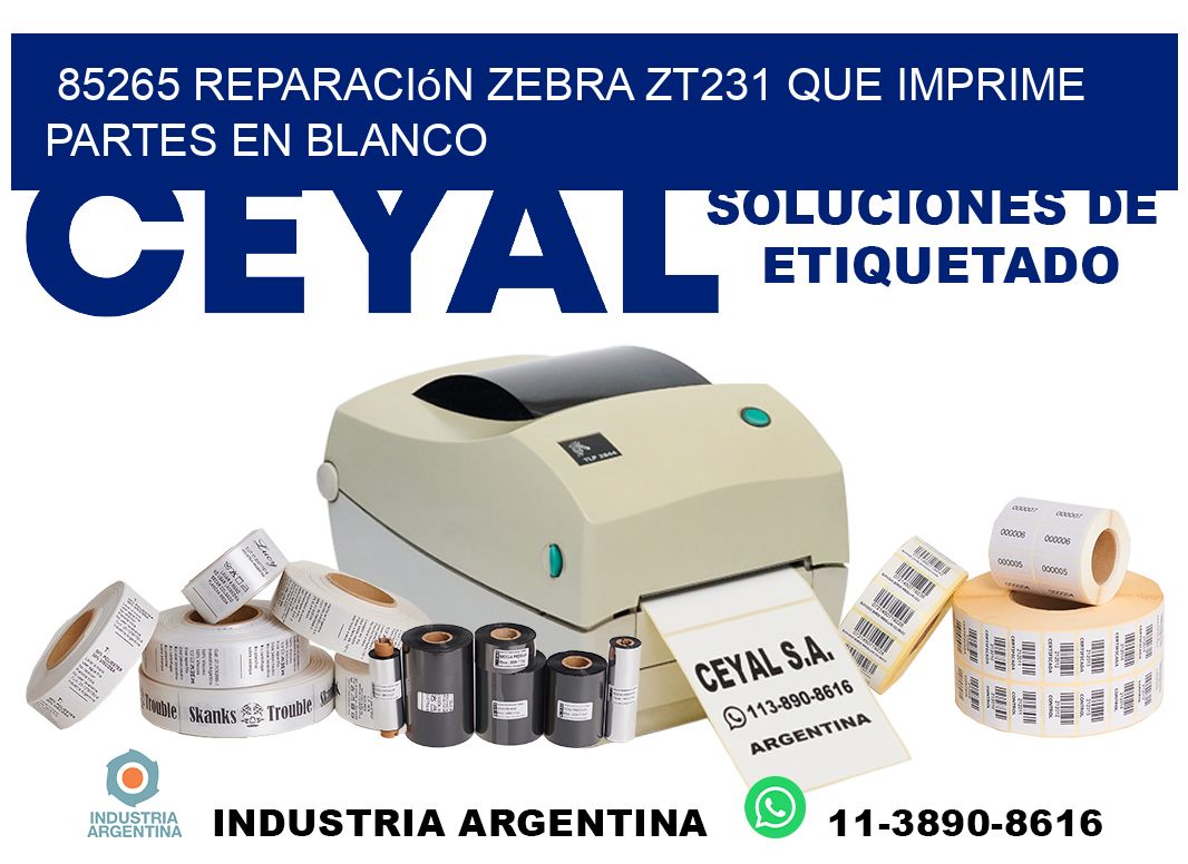85265 reparación zebra zt231 que imprime partes en blanco