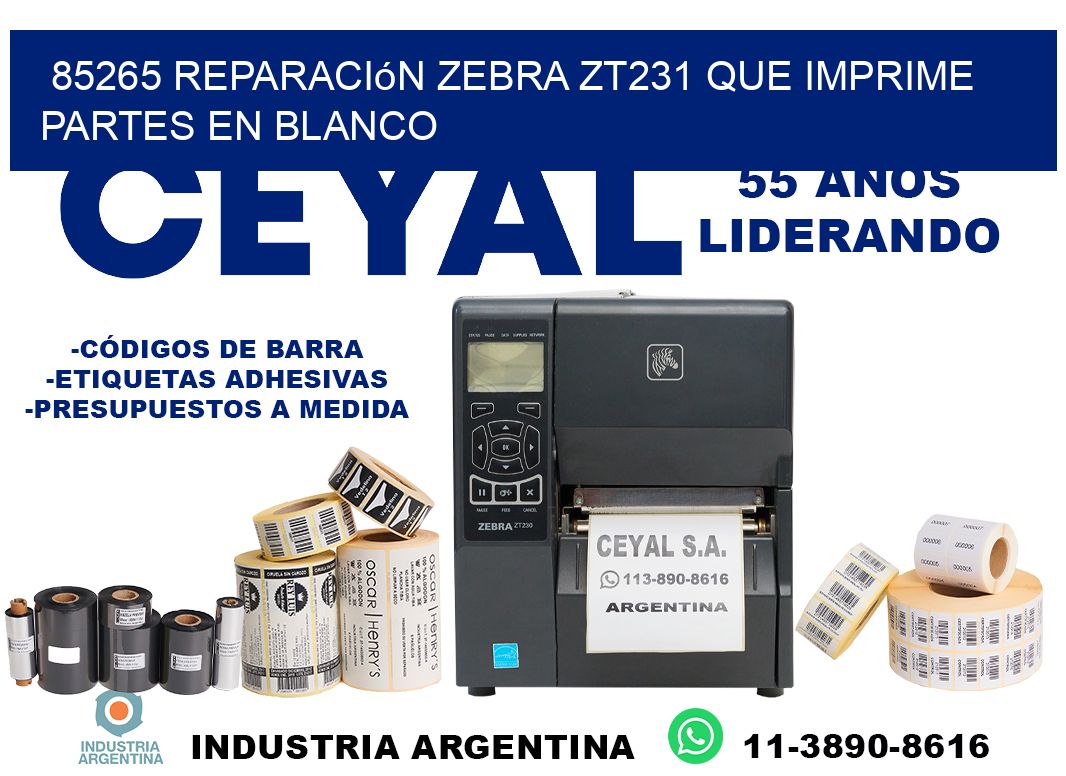 85265 reparación zebra zt231 que imprime partes en blanco