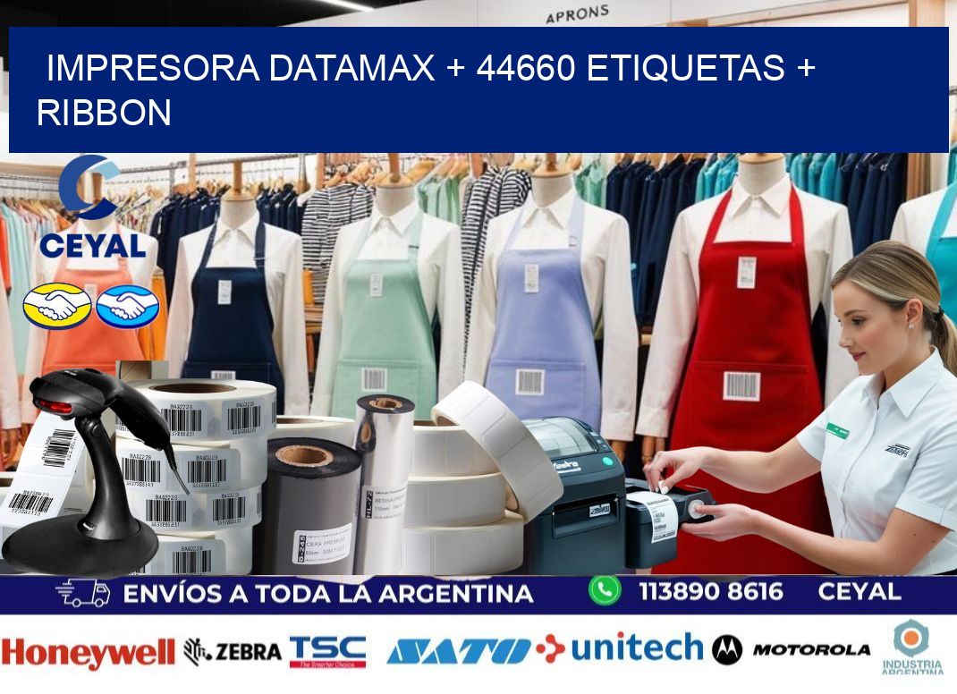 impresora DATAMAX + 44660 etiquetas + ribbon