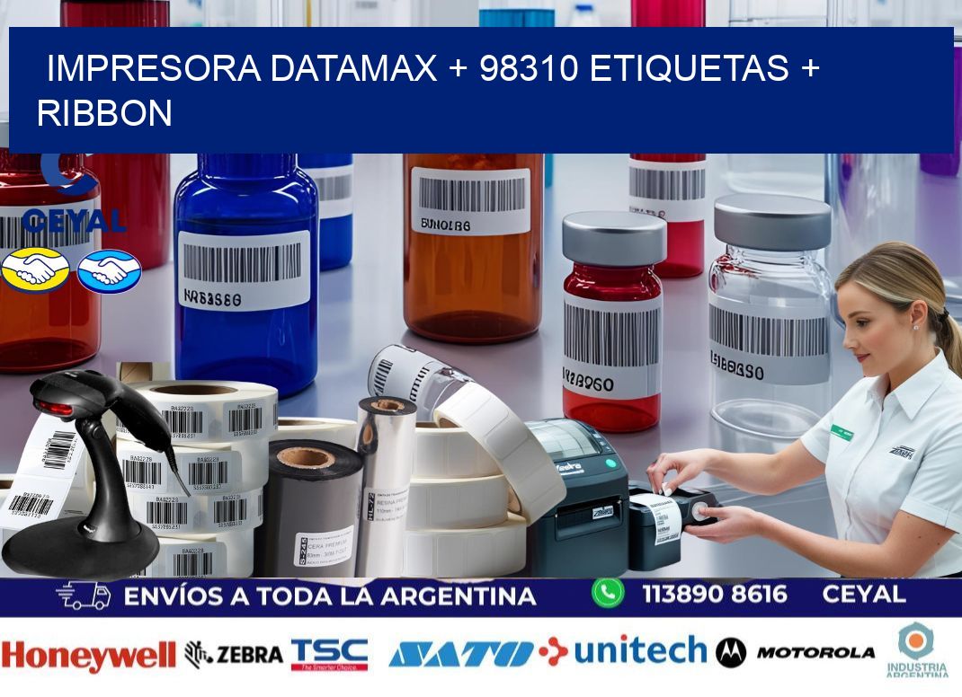 impresora DATAMAX + 98310 etiquetas + ribbon