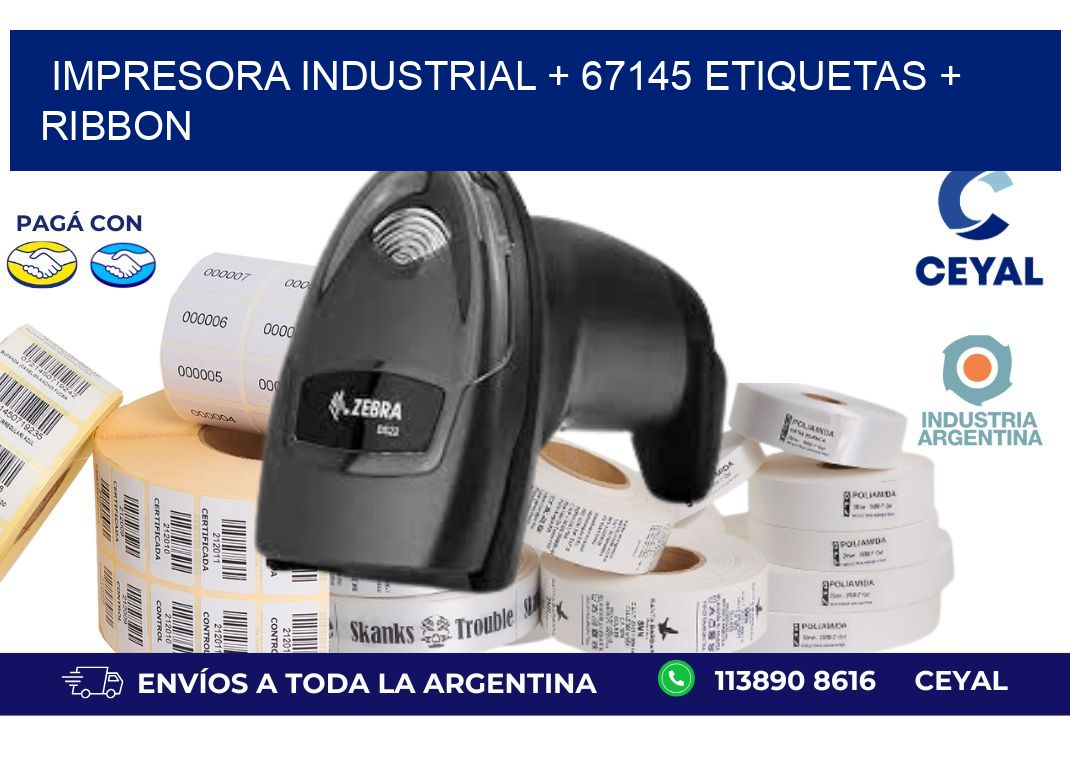 impresora industrial + 67145 etiquetas + ribbon