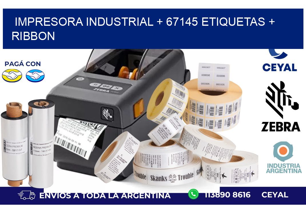 impresora industrial + 67145 etiquetas + ribbon