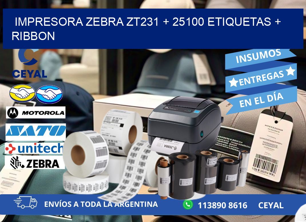 impresora zebra zt231 + 25100 etiquetas + ribbon