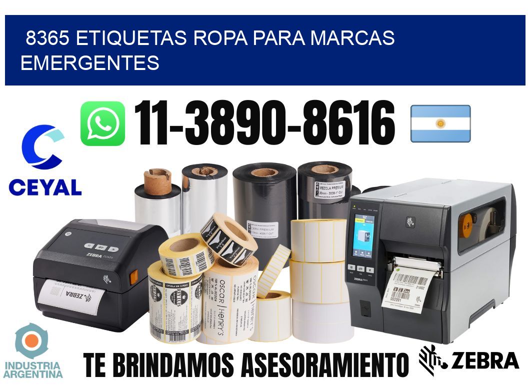 8365 Etiquetas ropa para marcas emergentes