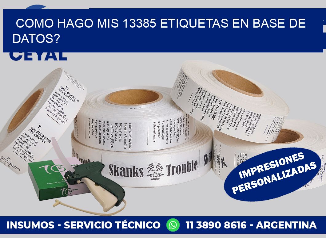 como hago mis 13385 etiquetas en base de datos?