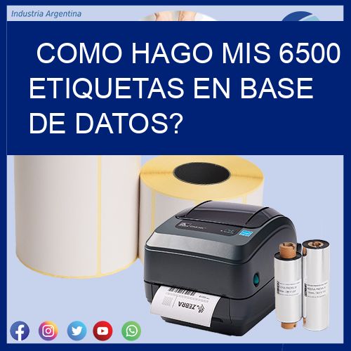 como hago mis 6500 etiquetas en base de datos?